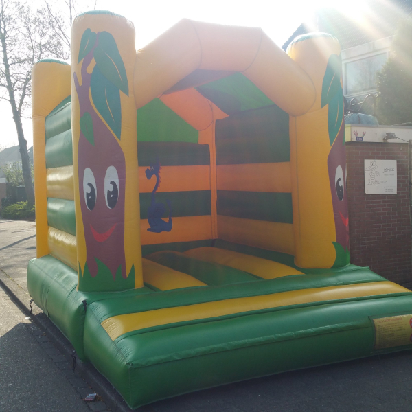 Springkussen Palmboom